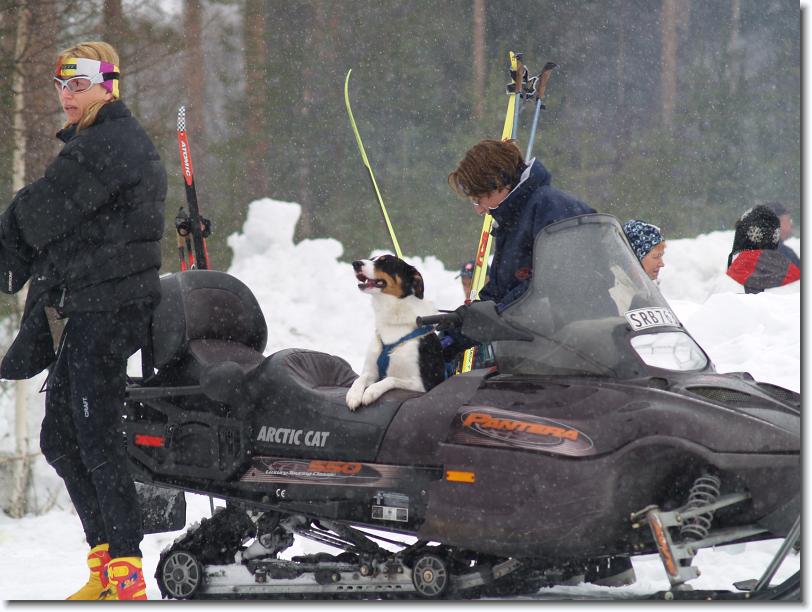 Nästa bild